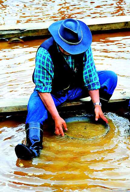 You can pan for gold at the Tankavaara Gold Mine You can pan for gold at the Tankavaara Gold Mine